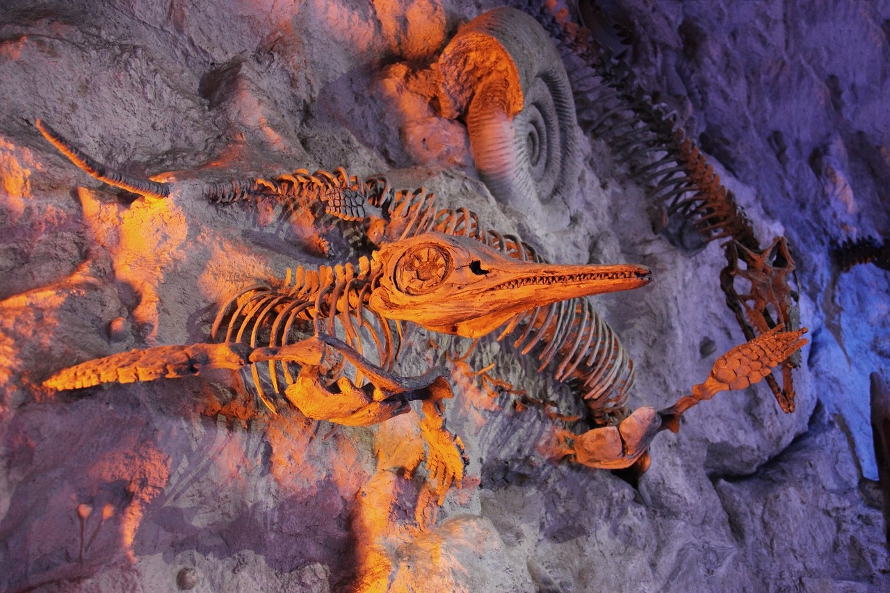 Polscy paleontolodzy odkryli zapis ewolucyjnego „wyścigu zbrojeń” trwającego od 250 mln lat